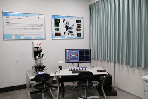 a3c236e75e37436f86ad6f4b006d6d3f.jpg 生物激光共聚焦_副本.jpg